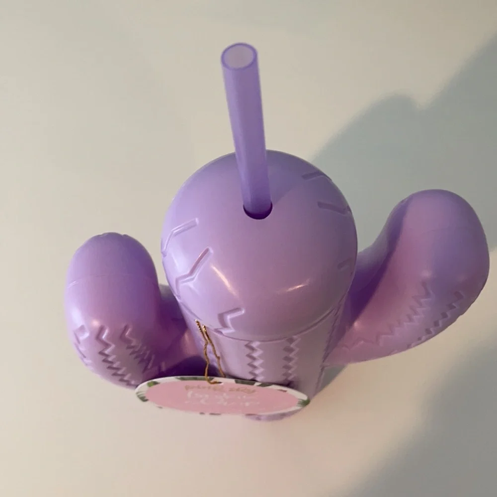 Pink Sky Cactus Straw Cup with Straw